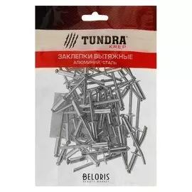 Заклёпки вытяжные Tundra Krep, алюминий-сталь, 4.8 х 14 мм, в пакете 50 шт.