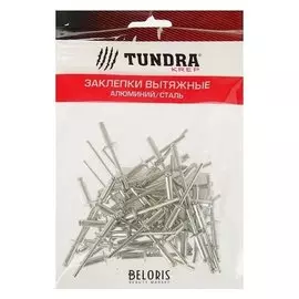 Заклёпки вытяжные Tundra Krep, алюминий-сталь, 50 шт, 4 х 12 мм