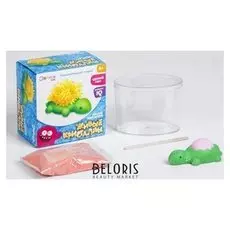 Живые кристаллы Черепашка