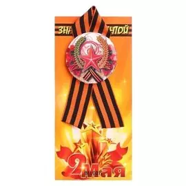 Значок на подложке с лентой "9 Мая" красные цветы, звезда