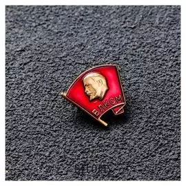 Значок "Влксм"