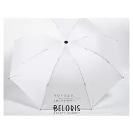 Зонт механический "Погода, которую ты заслужил", 8 спиц