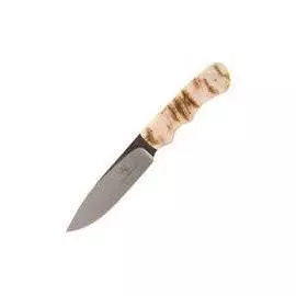 Нескладной нож Cheetah, рог барана 100 мм. AB/Cheetah R SHEEP HORN (Arno Bernard)