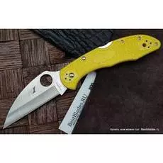 Нож складной Spyderco Salt 2 Wharncliffe C88PWCYL2