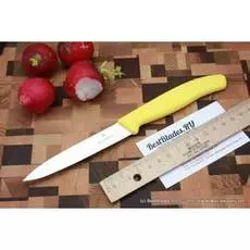 Нож Victorinox для стейка 6.7706.L118