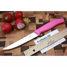 Нож Victorinox для стейка 6.7936.12L5