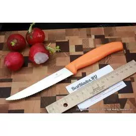 Нож Victorinox для стейка 6.7936.12L9