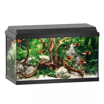 Аквариум JUWEL Primo 60 черный 60л 61х31х37см