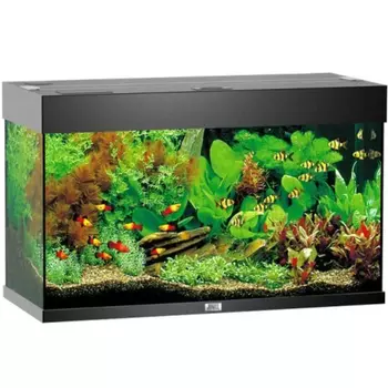 Аквариум JUWEL Rio 125 LED черный 125л 81х36х50см