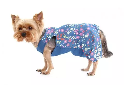 Комбинезон для собак YORIKI Ромашка девочка размер S 21см