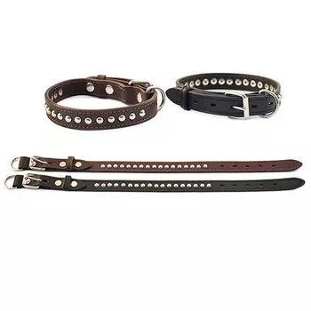 Ошейник для собак ДАРЭЛЛ 2-х слойный 30мм 43-55см украшенный Бюргер коричневый