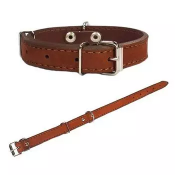 Ошейник для собак ДАРЭЛЛ 2-х слойный 20мм 35-45см «Бюргер Стандарт»