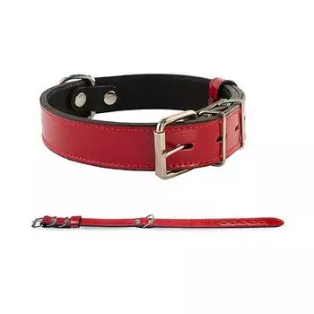 Ошейник для собак ДАРЭЛЛ "Брайт" 2 слоя цветной 43-55 см*26 мм