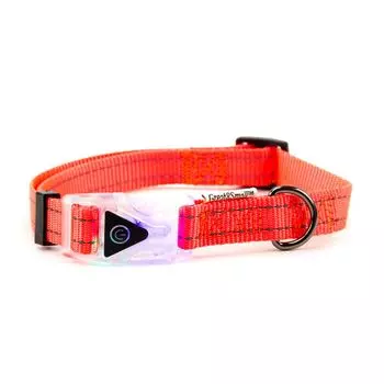 Ошейник для собак Great&amp;Small со светящейся застежкой 350-450мм оранжевый