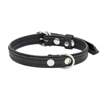 Ошейник для собак ZOOEXPRESS Hight Line с тиснением 15мм 32см черный