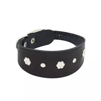 Ошейник для собак ZOOEXPRESS Камбала 1сл 50мм 35см черный