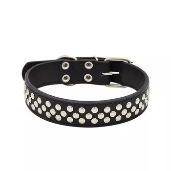 Ошейник для собак ZOOEXPRESS Клепка 2сл 36мм 60см черный