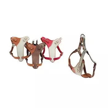 Шлейка для собак ДАРЭЛЛ Ева Брайт быстросъёмная мини мягкая кожа, 24-32смх34-44см, красная