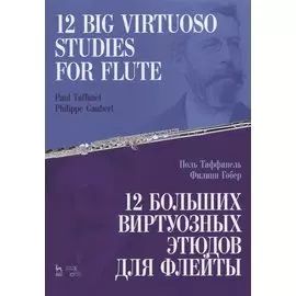 12 больших виртуозных этюдов для флейты