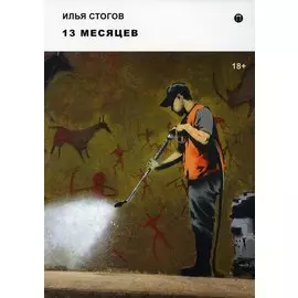 13 месяцев: роман