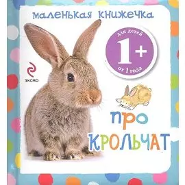 1+ Маленькая книжечка про крольчат