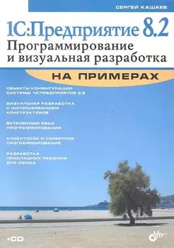 1С:Предприятие 8.2. Программирование и визуальная разработка на примерах / + CD