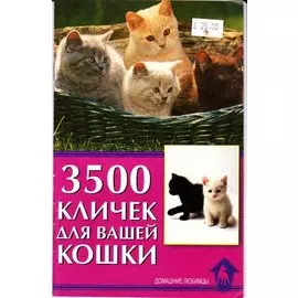 3500 кличек для вашей кошки.