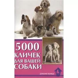 5000 кличек для вашей собаки