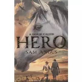 A Horse Called Hero