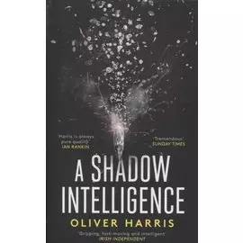 A Shadow Intelligence