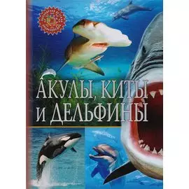 Акулы, киты и дельфины