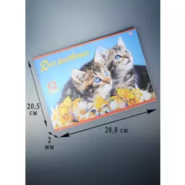 Альбом для рисования Hatber, "Верные друзья", А4, 12 листов, на скрепке, в ассортименте