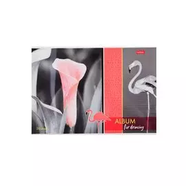 Альбом для рисования Hatber, "Изысканность цвета", А4, 20 листов, на скрепке