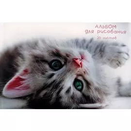 Альбом для рисования 20л "Пушистые лапки" склейка, мел.картон