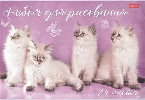 Альбом для рисования Hatber, "Кототерапия", А4, 24 листа, в ассортименте