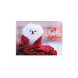 Альбом для рисования Hatber, "Мое любимое начало дня", А4, 24 листа, на склейке