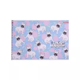 Альбом для рисования Academy Style, "Мопсы", А4, 24 листа, на спирали