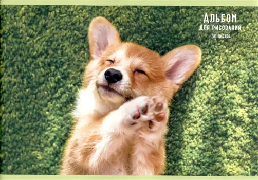 Альбом для рисования 30л "Милый корги" скрепка, мел.картон, выб.лак