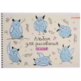 Альбом для рисования 40л А4 "День совы" гребень, ВД-лак, текстура