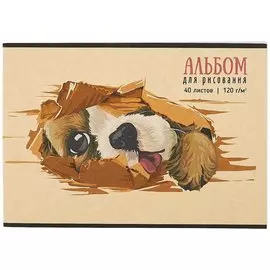 Альбом для рисования Academy Style, "Я тут", А4, 40 листов, на склейке