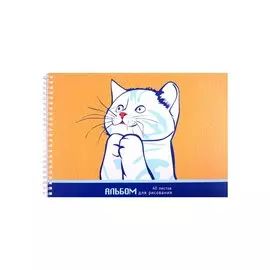 Альбом для рисования Listoff, Kitty, А4, 40 листов, на гребне