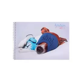 Альбом для рисования Listoff, Sweet dreams, А4, 40 листов, на гребне