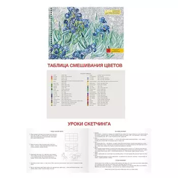 Альбом для рисования «Ирисы», 30 листов