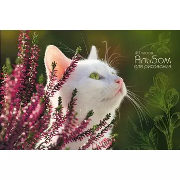 Альбом для рисования «Кот-мечтатель», А4, 40 листов