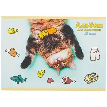 Альбом для рисования Listoff, "Мечты кота", А4, 40 листов, на скрепке