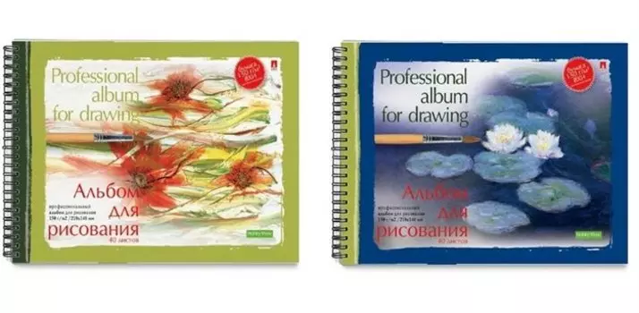 Альбом для рисования ПРОФЕССИОНАЛЬНАЯ, гребень , 2 обл.,40л., А5