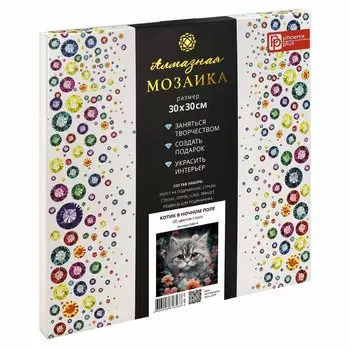 Алмазная мозаика "Котик в ночном поле" 30*30 см