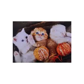 Алмазная мозаика квадратная "Маленькие голубоглазые котята с клубочками", 30 х 40 см