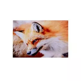 Алмазная мозаика квадратная "Пушистая рыжая лисичка", 17x22