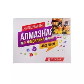 Алмазная мозаика на подрамнике "Котики"
